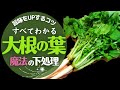 【大根の葉】のゆで方と下処理の方法!驚くほど美味しくなる!