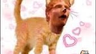 Aesthetic Warning Part 9 ✨💖💄💩💃🏿🤪💅🏼🙄🌸💀😊❤️😭🥰😏❤️🩹✅💸💕🌃😂😍😘🥺👍💫💝😇👄😈😎✨