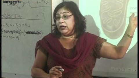 Mind Shaper Technologies Testimonials (DAV School) | Classteacher Learning Systems