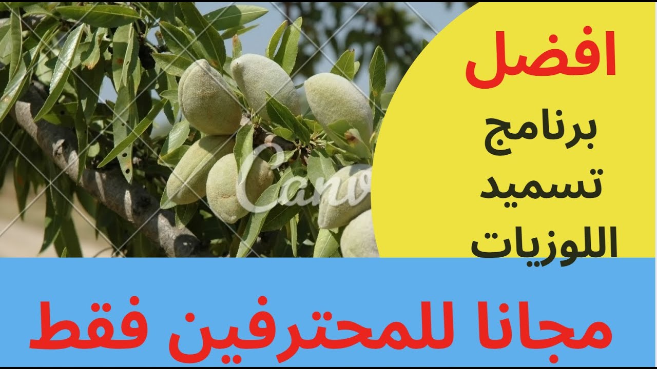 افضل برنامج تسميد لاشجار اللوزيات للمحترفين فقط  مجانا