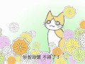 猫咪天地 (般猫心经)　　Simplified Chinese subtitle