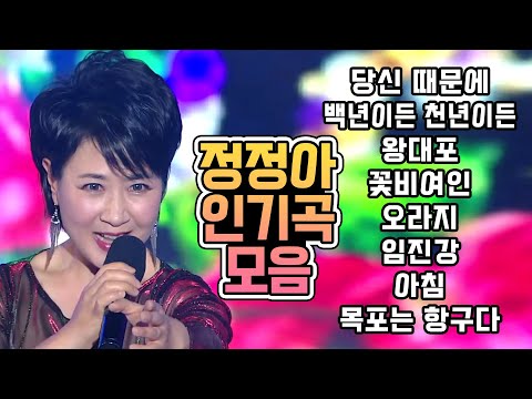 정정아 노래모음 (히트곡 +메들리) JUNG JUNG A 당신 때문에/백년이든 천년이든/왕대포/꽃비여인/오라지/임진강/아침/목포는 항구다+메들리🎵
