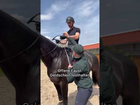 Video: Ein Pferd ist ein Pferd: Grundlagen des Reitens für alle Disziplinen