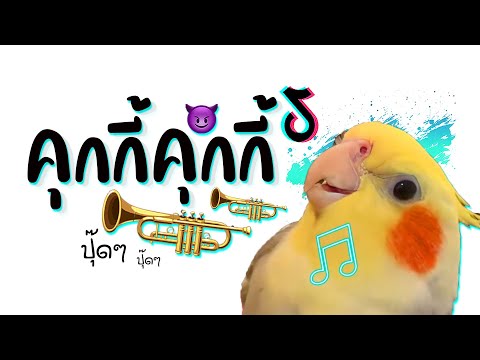 คุกกี้ คุกกี้ เเดนซ์ ★ 3ช่า มันๆ X เบสหนักๆ ( จิงเจอร์ ปุ๊ดๆ ) 😈 DJ GEZ MUSIC