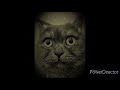 Luca - Guck durch meine Augen (Prod. by Sedivi)