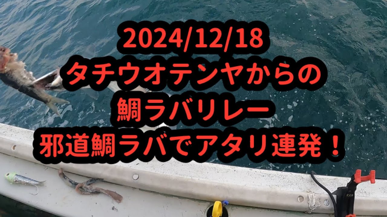 激しぶタチウオ攻略からの邪道鯛ラバ　神経締め　船酔いちゃんねる