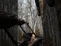 вездеходы БТХ-М "Малыш" и БТХ-2  #shorts