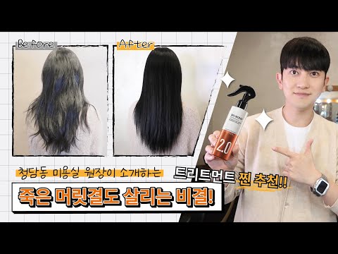 청담동 미용실 원장이 소개하는 죽은 머릿결도 살리는 비결! (트리트먼트 찐추천/바이오본드 제품)