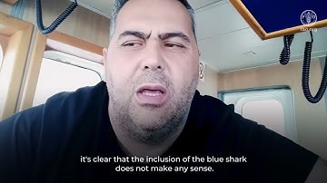 Shark Proposals For CITES CoP Panama 2022 - Video from FAO