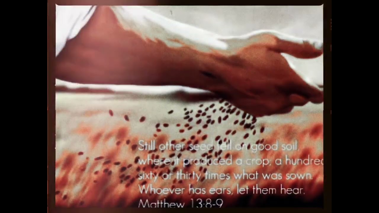 #dailydevotion Matthew 13: 8-9