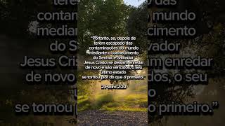 #deus #biblia #palavraquesalva #oração #devotional #pazinteror #vidacomdeus #amordedeus #fyp 📖