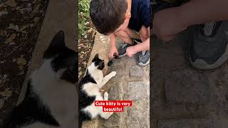 Famous Nick tells him😍You're a very pretty little kitten❤️#cute #kitten #cat #cats #funny #ytshorts #new Wealth