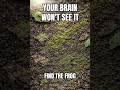 Your Brain Won’t See This Frog | 95% Fail