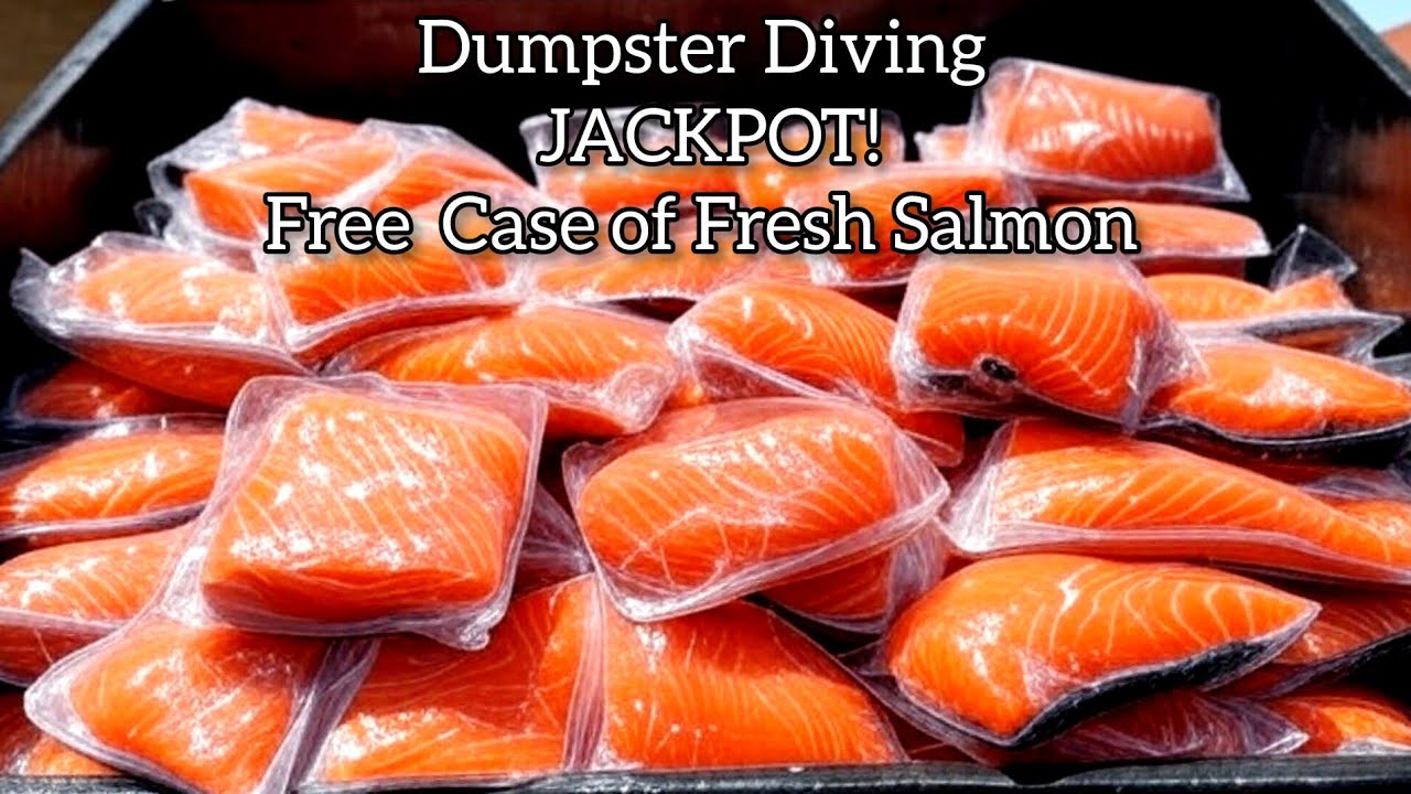 #dumpsterdiving2025 Jackpot! 15 lbs Fresh Salmon