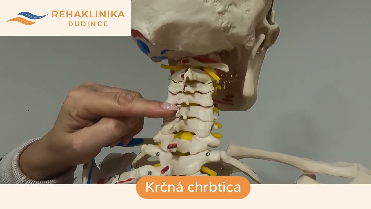 Krčná chrbtica: Príčiny, príznaky a možnosti liečby | Rehaklinika