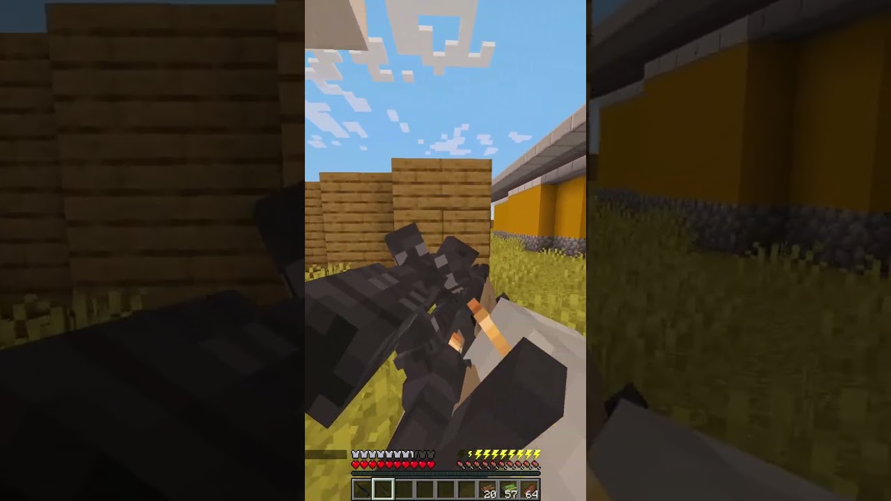 I Played MINECRAFT CALL OF DUTY! 
