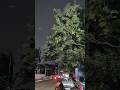 pov: the breeze before rain🤍#rainyday #monsoon #weather #romanticweather #viral #nature