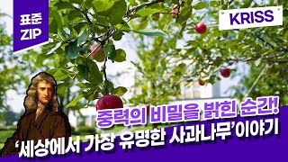 [표준ZIP] 5화 '세상에서 가장 유명한 사과나무' 이야기
