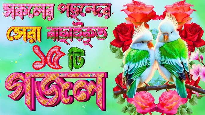 Qattiq jinsiy aloqa mmf video