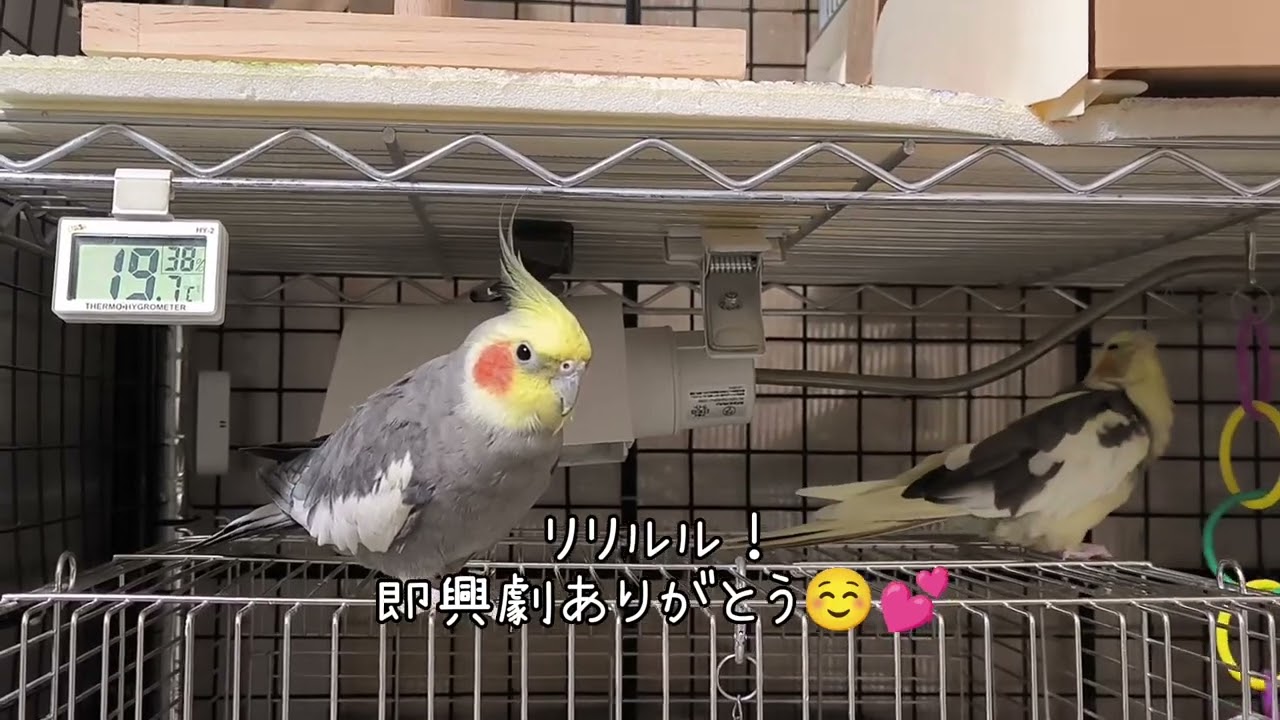 #43『変わらぬ日常』