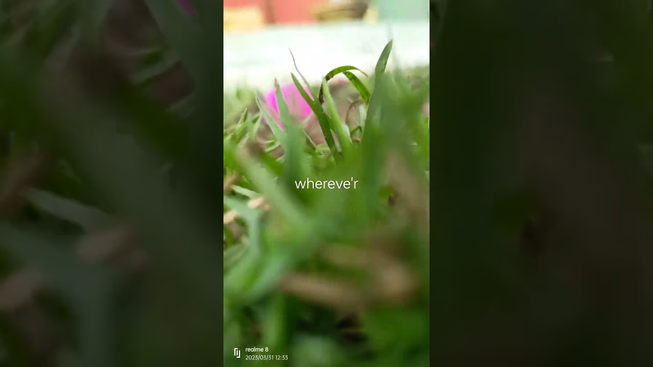 bloom like a flower 🌸