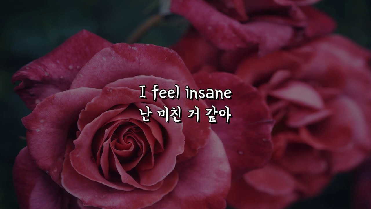 Watch (한글 번역) Bruno Martini, Avian Grays, TRIXL ft. Mayra - Save Me on YouTube Watch (한글 번역) Bruno Martini, Avian Grays, TRIXL ft. Mayra - Save Me on YouTube