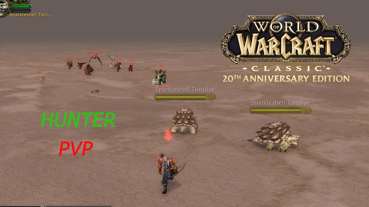 Classic WoW Hunter PvP | World PvP