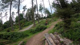 Deuchny Woods MTB Jumps Perth