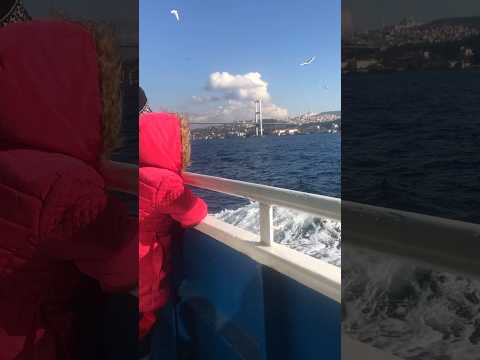 Martılara simiiit (istanbul