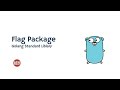 Golang standard library - Flag Package part 04