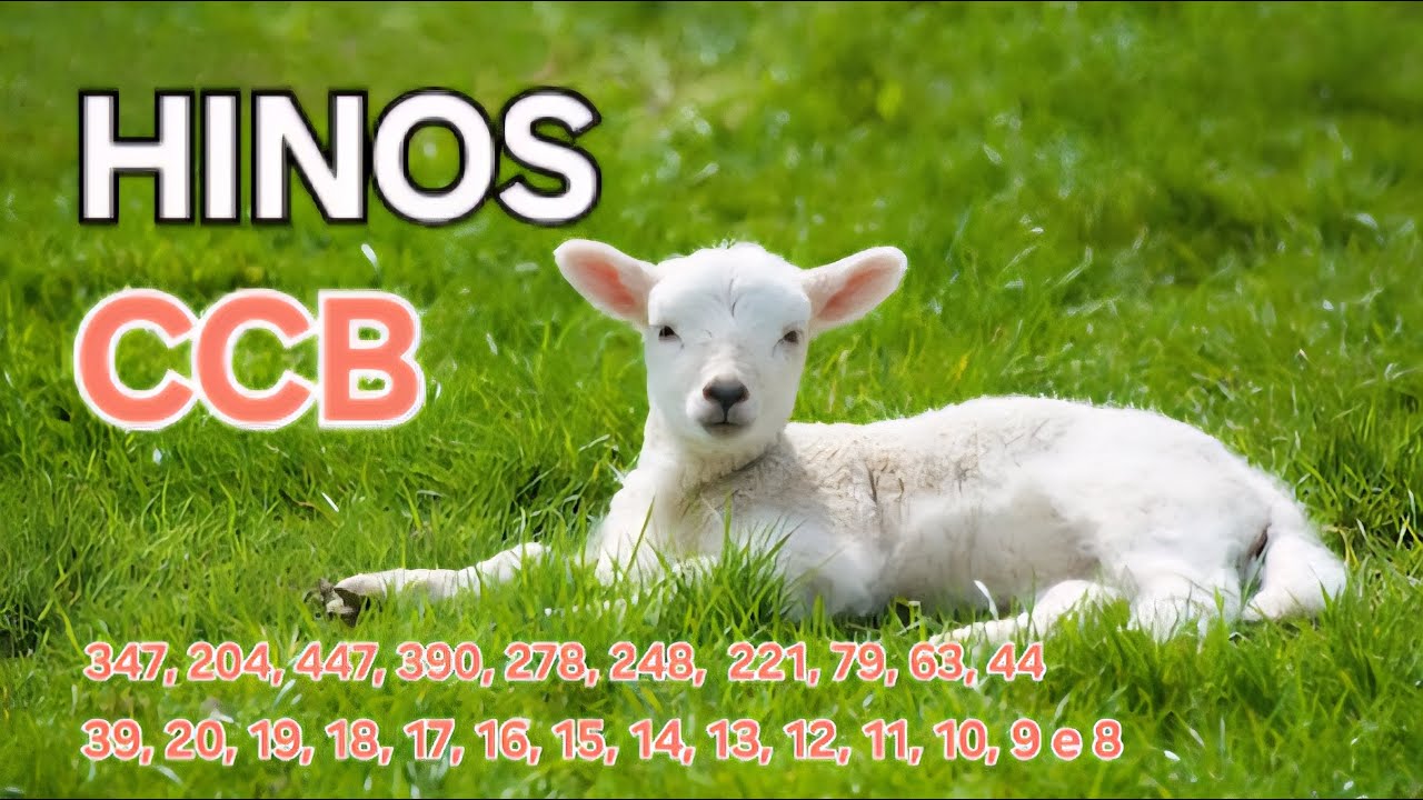 Hinos Ccb Cantados 347, 204, 447, 390, 278, 248, 221, 79, 63, 44, 39, 20, 19, 18, 17, 16, 15...