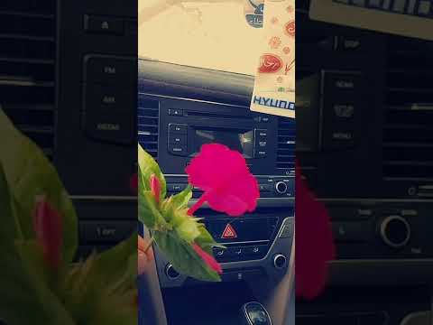 شيله جديده اللحان صعده 2022
