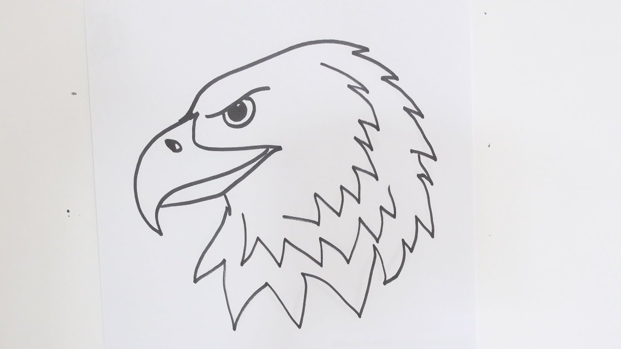 Eagle Drawing  How To Draw An Eagle Step By Step