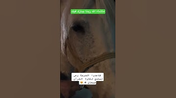 طفل صغير يتألق في تيلاوة القرآن الكريم #اكسبلور #دويتو #اوروبا #تيك_توك #ترند #duo #سفر #duet #لايك