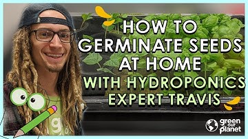 How To Germinate Seeds At Home