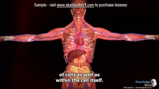 Famous G9 2 1 0 Introduction to Diffusion and Osmosis Sample Profile