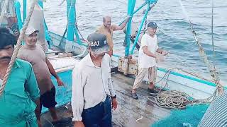 Pakistan fishermen 🐟 😱 wat for and#fish#fishingknowledge#youtubeshorts#fishing#carpfishing#island