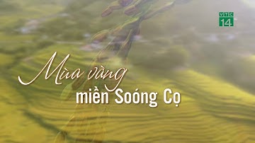 Mùa vàng miền Sóong Cọ |VTC14