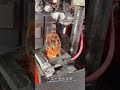 glass bottle manufacturing machine process #shorts