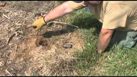 catching a coyote in trap, understanding the trap placement in open fields