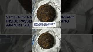 Stolen cannonballs discovered inside passenger's bag during airport security check