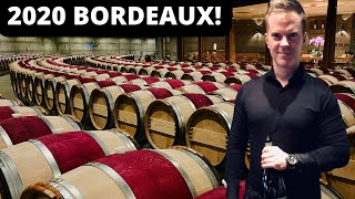 2020 Bordeaux: 9 MUST-HAVE 2020 Bordeaux Wines! (Wine Collecting)