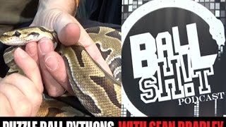 Celebrity Puzzle Ball Python at NARBC Tinely Park 2015- Part 10 Profile
