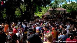 Presiden Kunjungi Pura Tirta Empul - Gianyar Bali