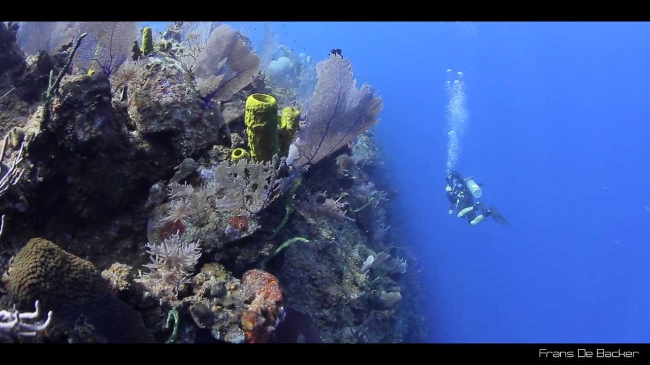 Scuba Diving Bloody Bay Wall Little Cayman Cayman Islands