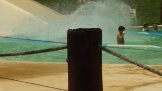 6 De Janeiro De 2022