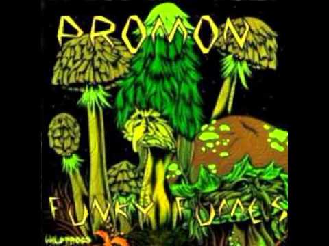 Promon — 05. Promon - Defined Inside (Funky Fumes)
