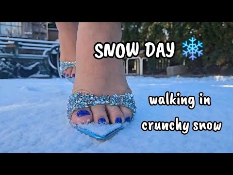 Crunchy Snow, Sparkly Steps ❄️✨ | Mules Playing in the Snow | ASMR 🔊