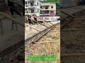Modern Problems, Ancient Solutions : This Simple Physics Hack Beats Heavy Machinery!