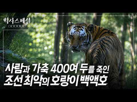 The White-Forehead Tiger That Terrorized Joseon: Was There Really No Record of Capture After a Mo... thumbnail